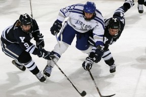 kaiyun官方入口登录-《电竞专业化：从娱乐到职业的转变》，电竞专业化的好处